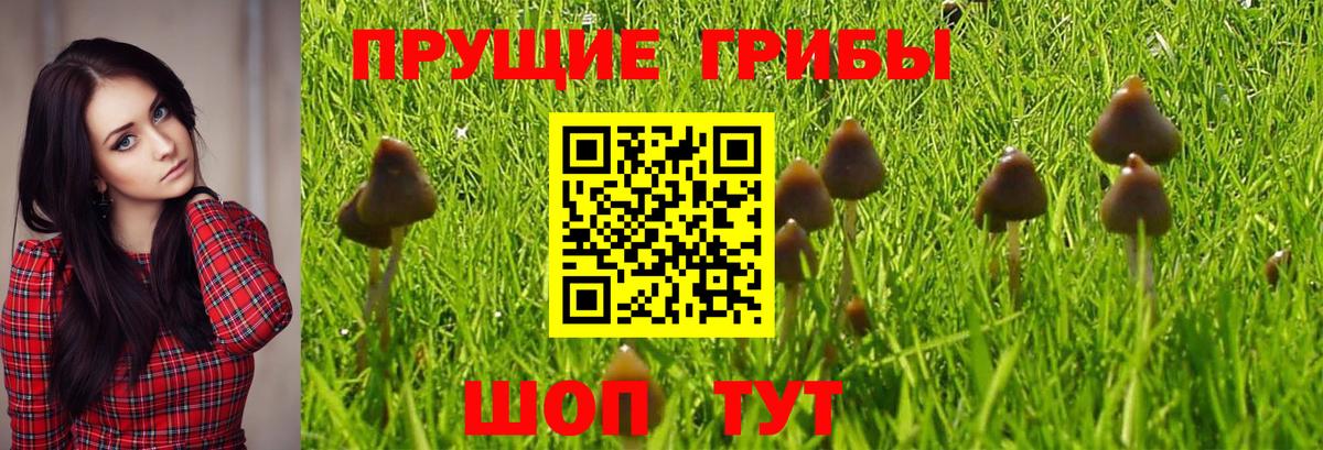 Лангепас  Галлюциногенные грибы Magic Shrooms  Вход с VPN 